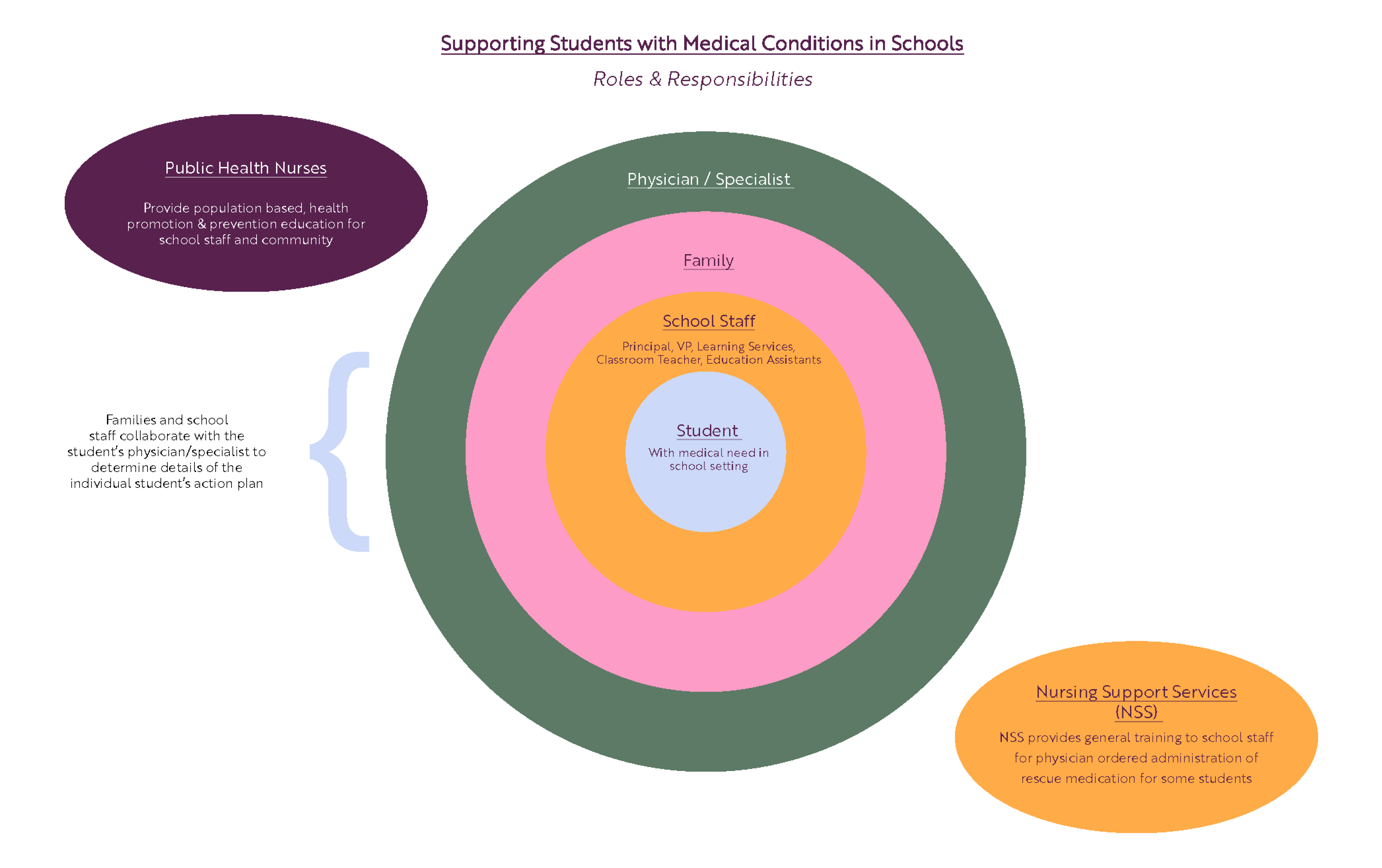 Roles and Responsiblities - Seizure